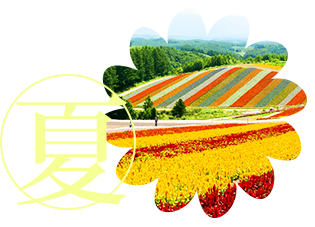 北海道-夏天